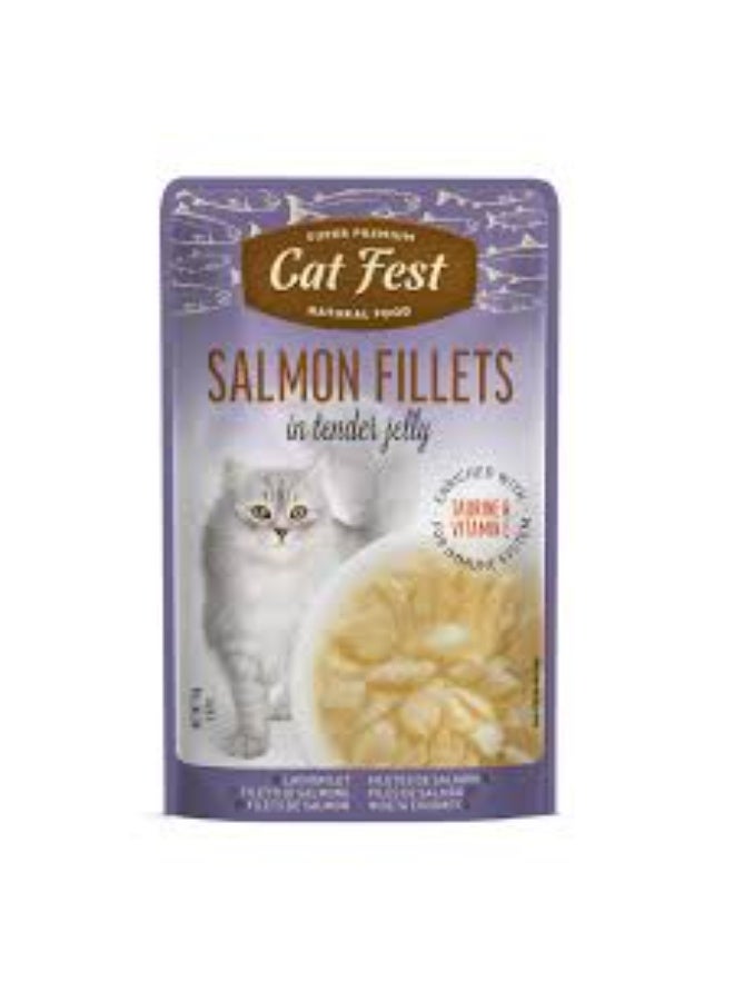 Cat Fest Salmon Fillets in Tender Jelly Wet Cat Food Rich in Taurine & Vitamin E, 70 g From Varmacy - Image 1